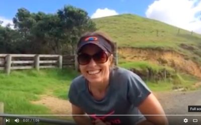 Start climbing gates and stop being so lazy.