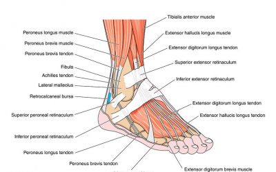 Really really really gorgeous feet!