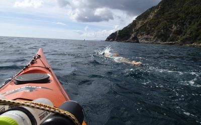 I’d like to give up right now. Update on Te Moana-a-Raukawa/ Cook Strait training.